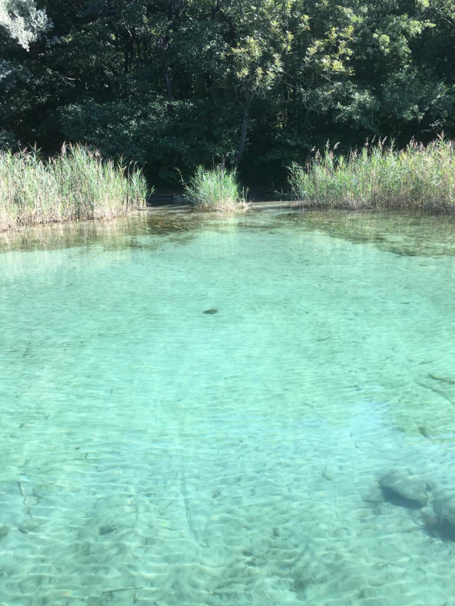 -Ortaflats- Appartamento L'Isola Orta San Giulio Eksteriør billede